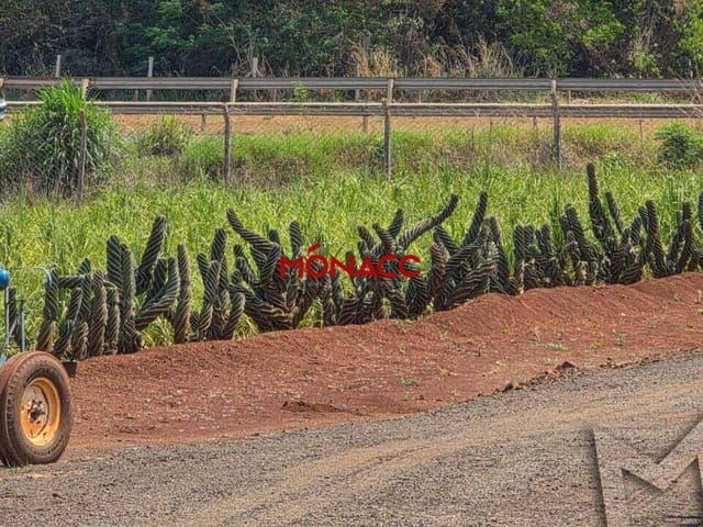 Terreno com 121000m², à venda, no bairro Jataizinho em Jataizinho