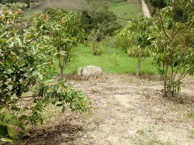 Terreno com 2991m², à venda, no bairro Parque Cambuci em Santa Branca