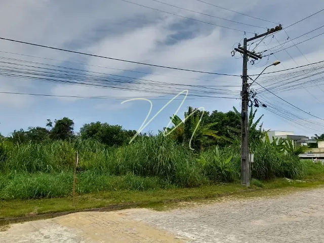 Terreno com 1260m², à venda, no bairro São Francisco em Ilhéus
