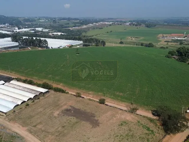 Terreno com 77000m², à venda, no bairro Rural em Holambra
