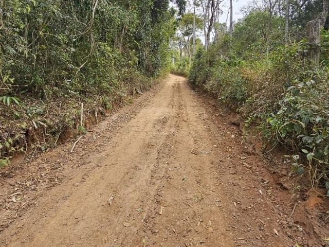 Terreno com 4500m², à venda, no bairro Água Comprida em Água Comprida