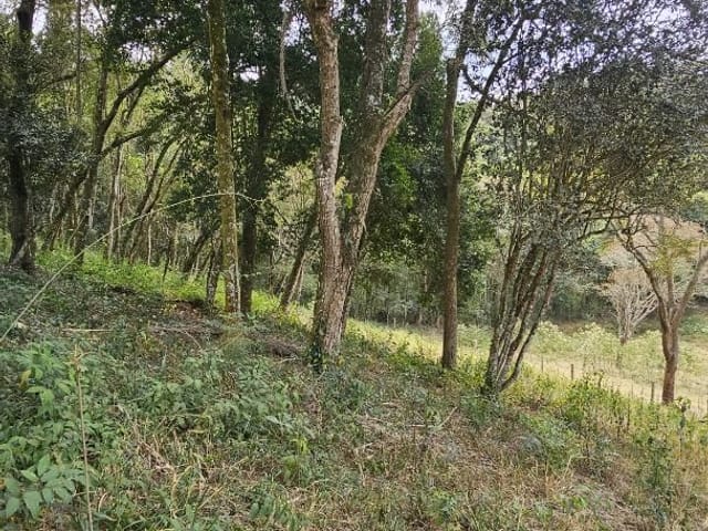 Terreno com 4500m², à venda, no bairro Água Comprida em Água Comprida