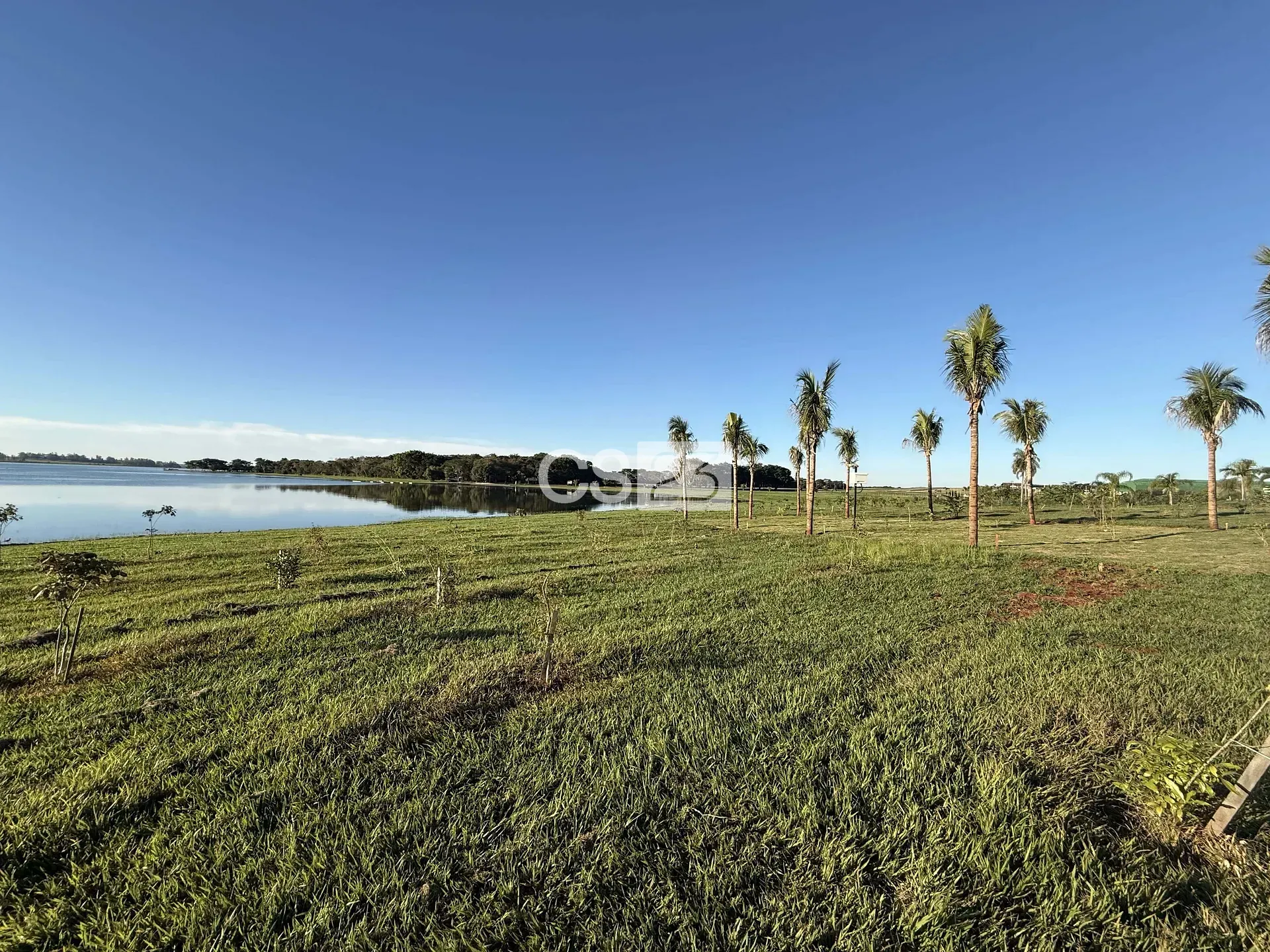 Terreno, 1003 m² - Foto 9
