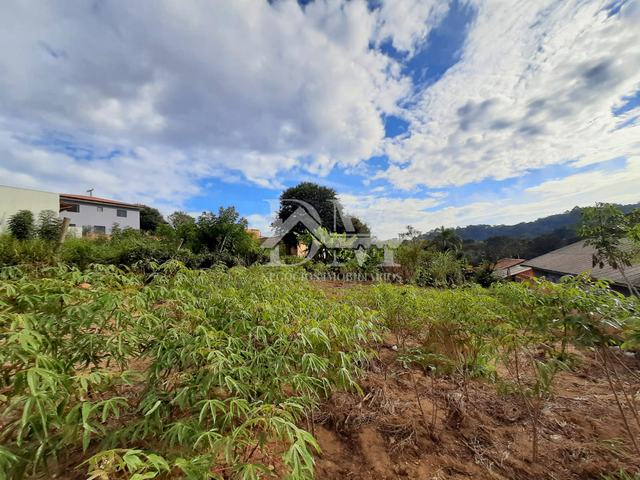 Terreno com 315m², à venda, no bairro Jardim Edith em Jaguariaíva