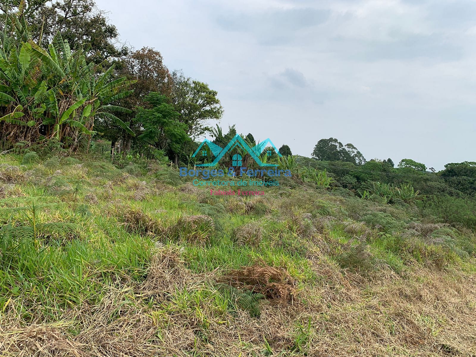 Terreno, 1500 m² - Foto 15