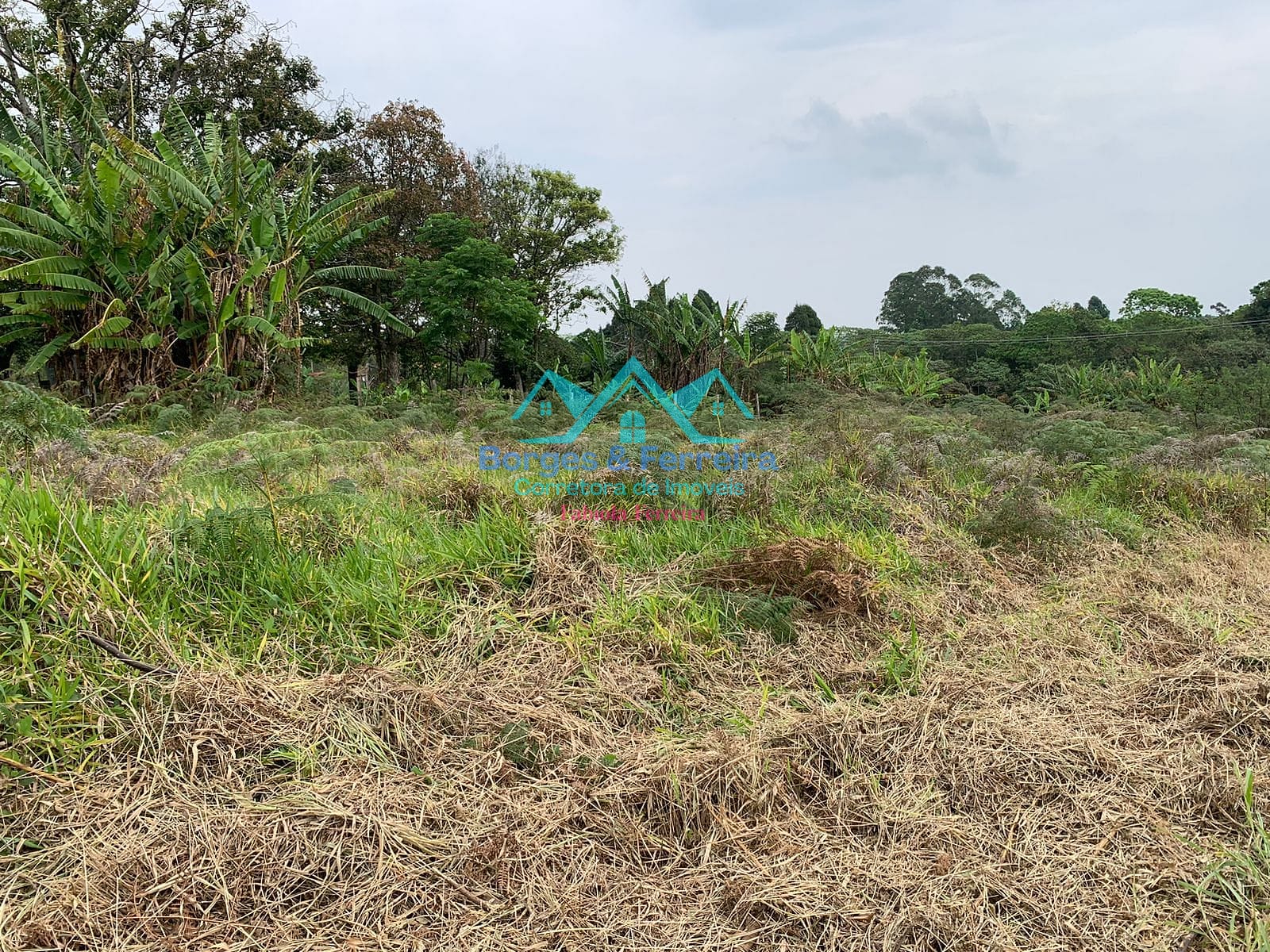 Terreno, 1500 m² - Foto 13