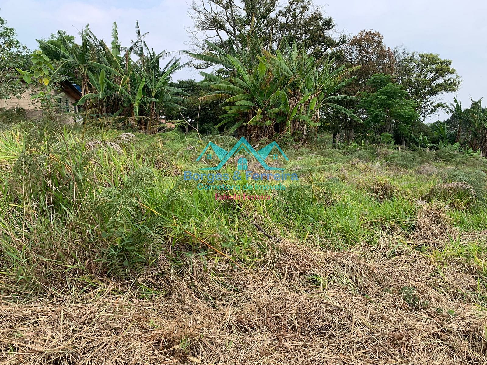 Terreno, 1500 m² - Foto 16