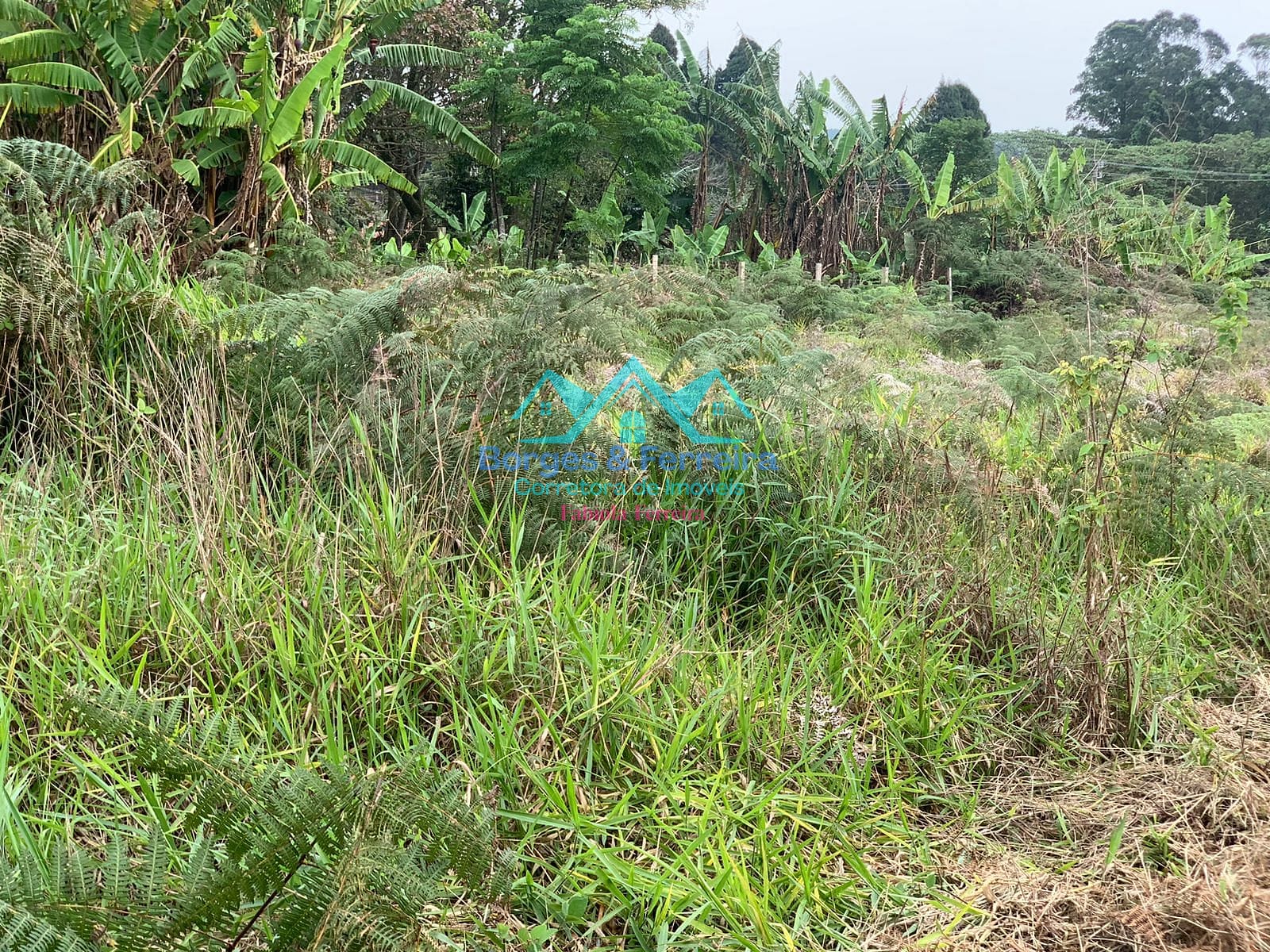 Terreno, 1500 m² - Foto 18