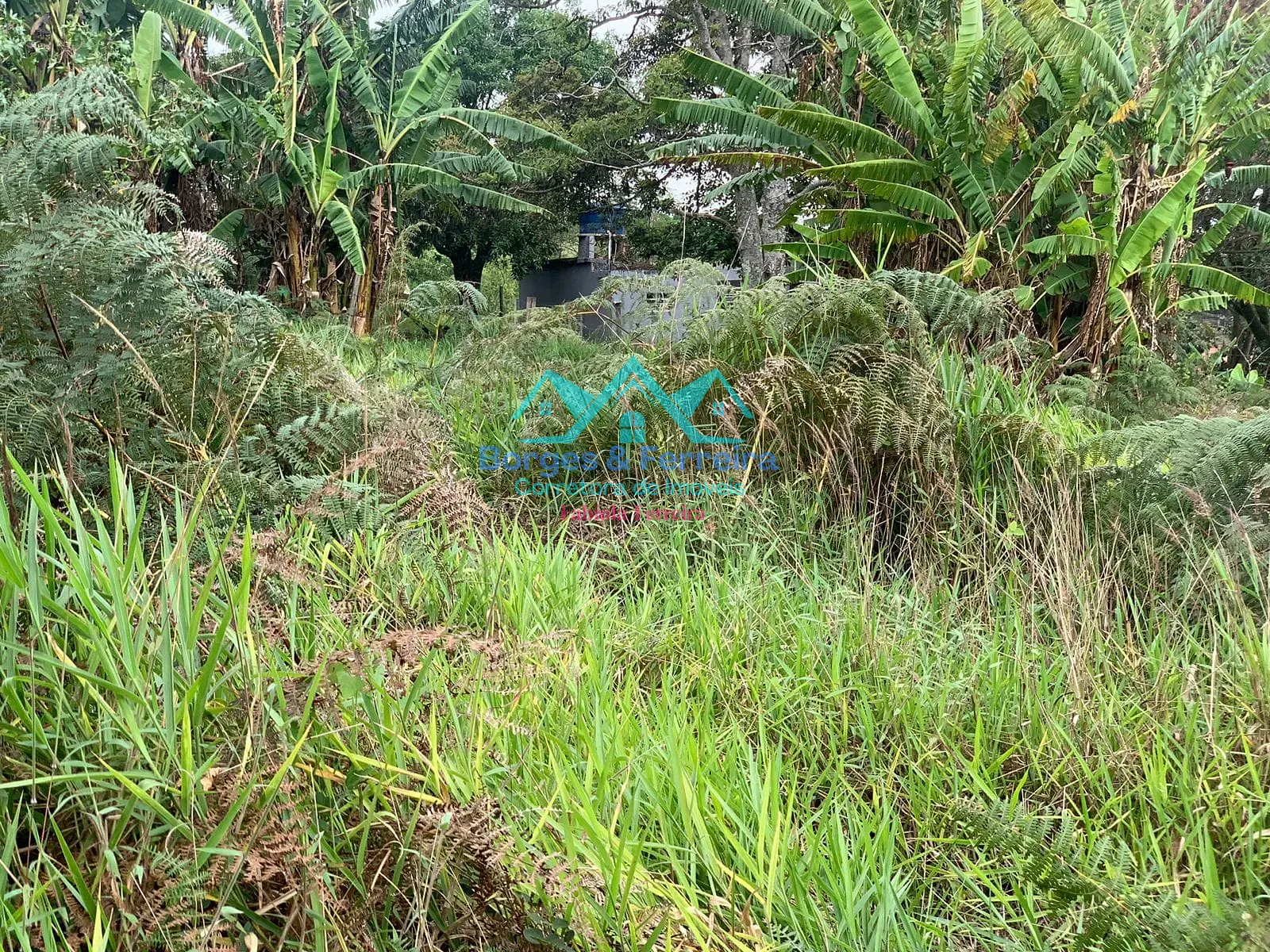Terreno, 1500 m² - Foto 3