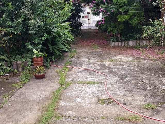 Terreno com 315m², à venda, no bairro Vila Constança em São Paulo