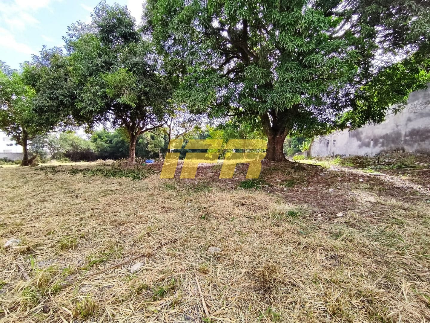 Terreno, 5040 m² - Foto 5