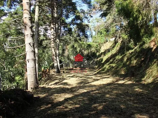 Terreno com 1875m², à venda, no bairro Mury em Nova Friburgo