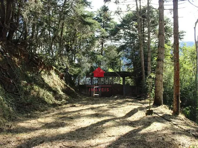 Terreno com 1875m², à venda, no bairro Mury em Nova Friburgo