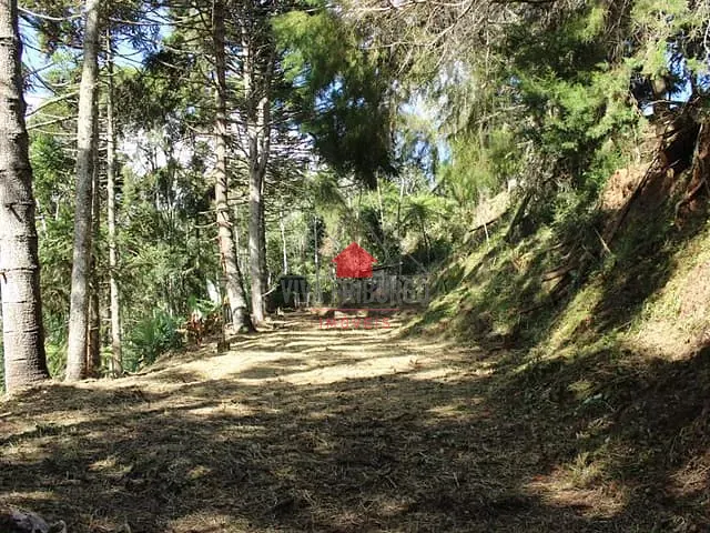 Terreno com 1875m², à venda, no bairro Mury em Nova Friburgo