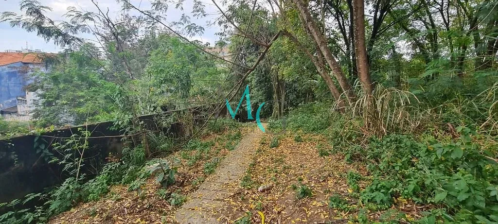 Terreno, 2227 m² - Foto 19