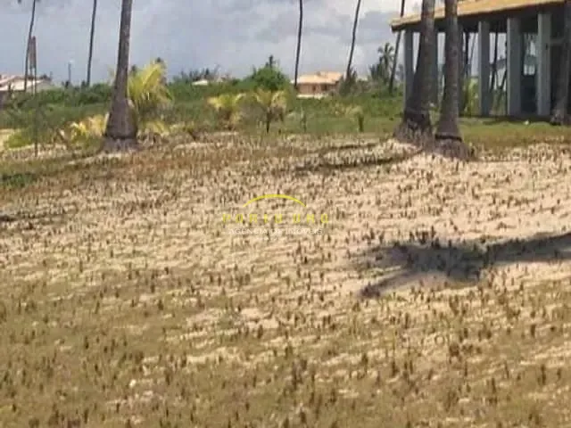 Terreno com 17000m², à venda, no bairro Arembepe em Camaçari