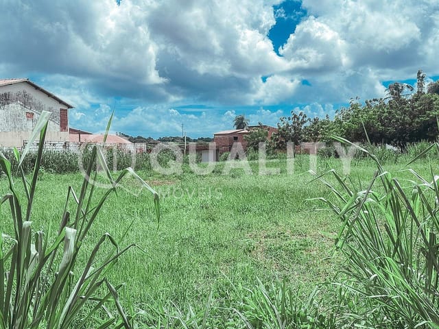 Terreno com 263m², à venda, no bairro Grilo em Caucaia