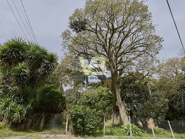 Terreno com 2618m², à venda, no bairro Loteamento Itaboa em Campo Largo