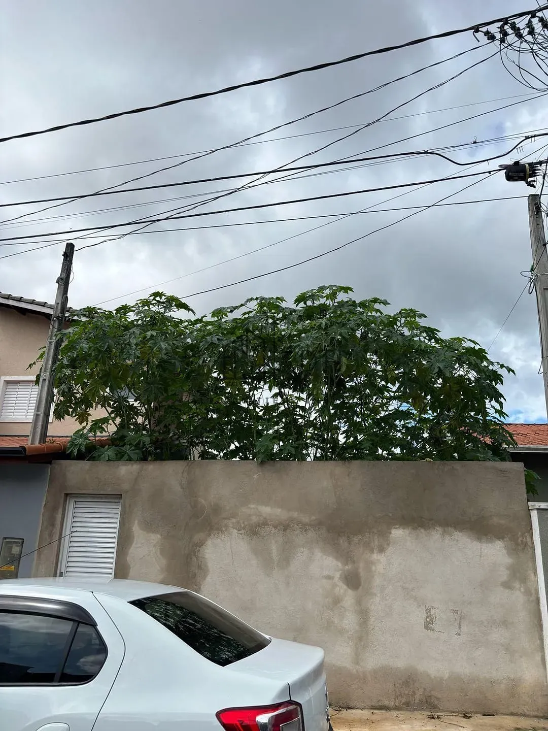 Terreno, 150 m² - Foto 12