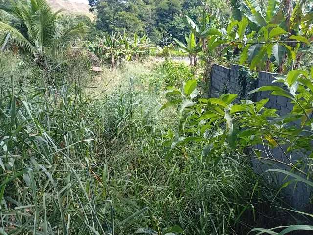 Terreno com 450m², à venda, no bairro Cotegipe em Matias Barbosa