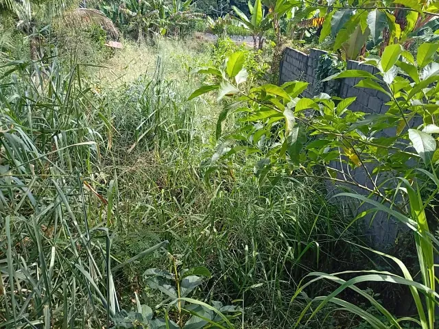 Terreno com 450m², à venda, no bairro Cotegipe em Matias Barbosa