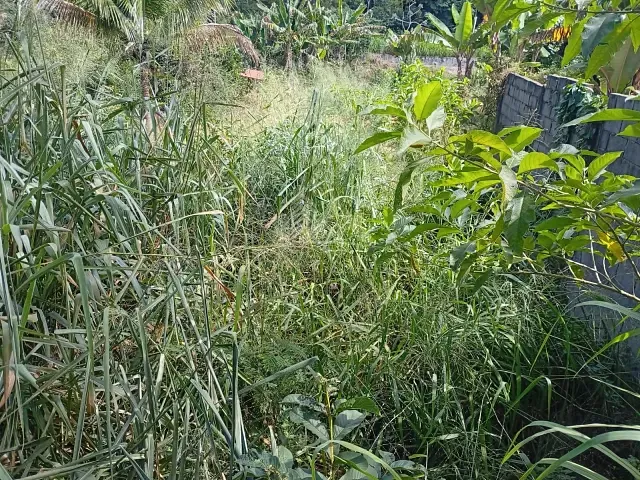 Terreno com 450m², à venda, no bairro Cotegipe em Matias Barbosa