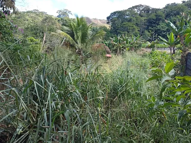 Terreno com 450m², à venda, no bairro Cotegipe em Matias Barbosa