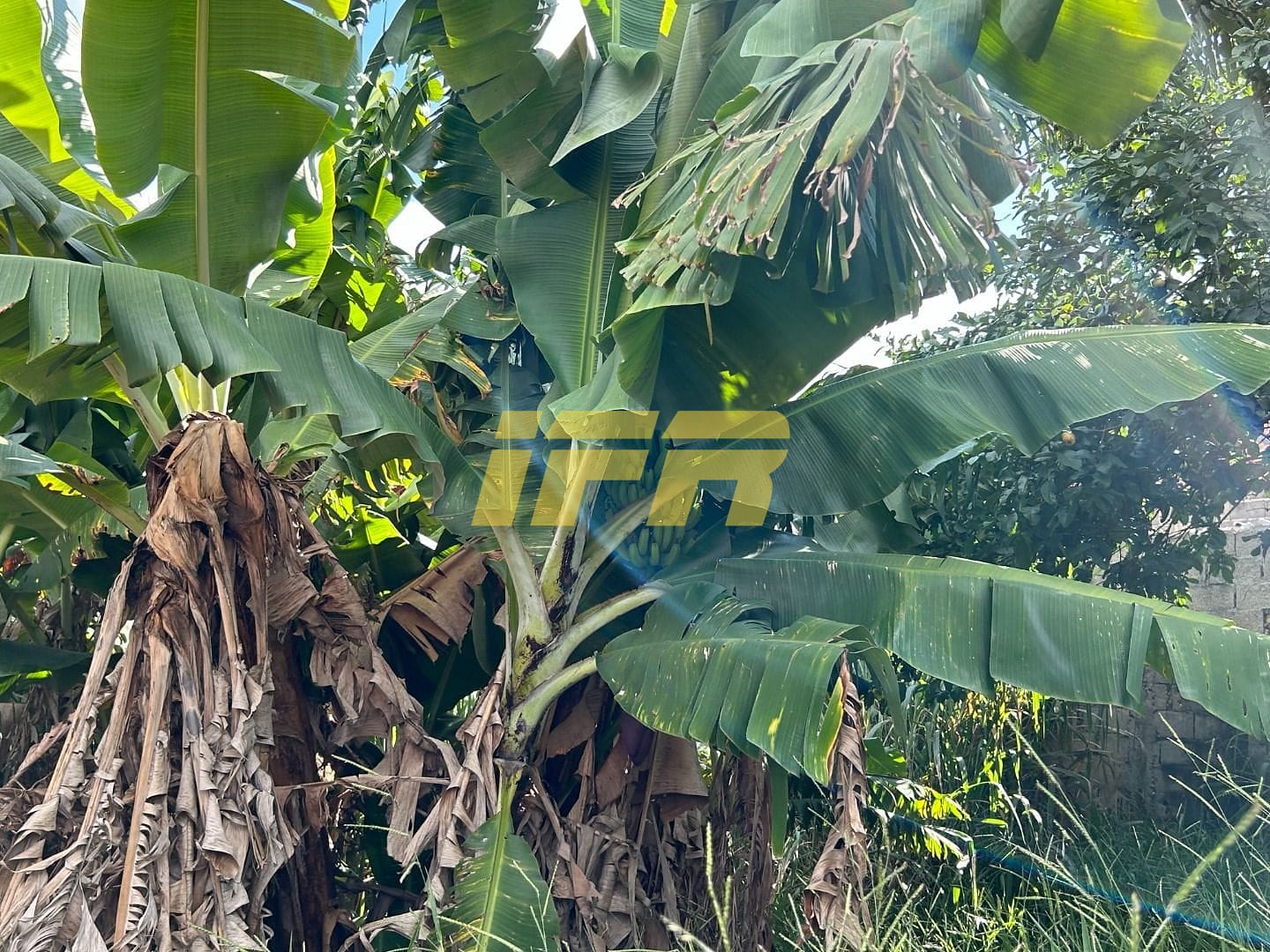 Terreno, 400 m² - Foto 8