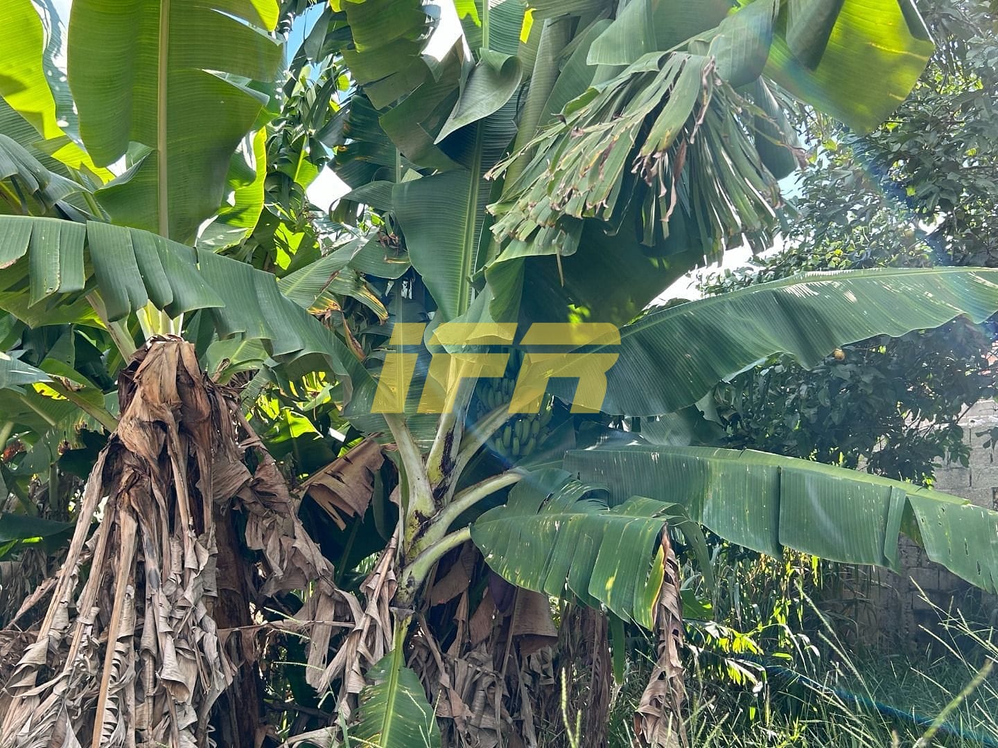 Terreno, 400 m² - Foto 7