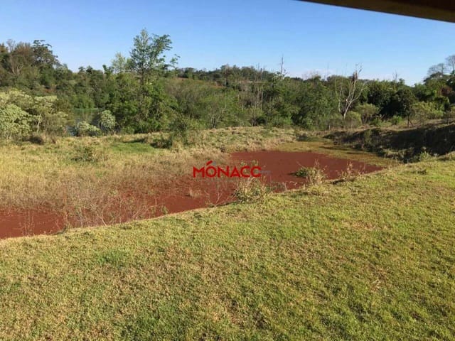 Terreno com 8000m², à venda, no bairro Gleba Fazenda Palhano em Londrina