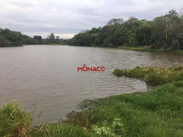 Terreno com 8000m², à venda, no bairro Gleba Fazenda Palhano em Londrina