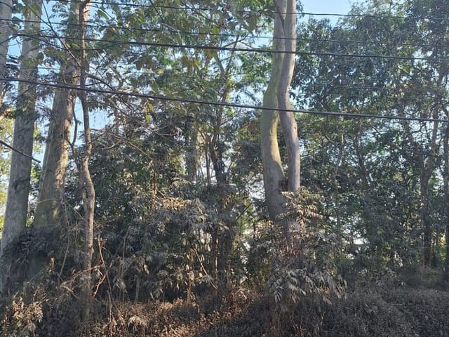 Terreno com 487m², à venda, no bairro Riviera Paulista em São Paulo