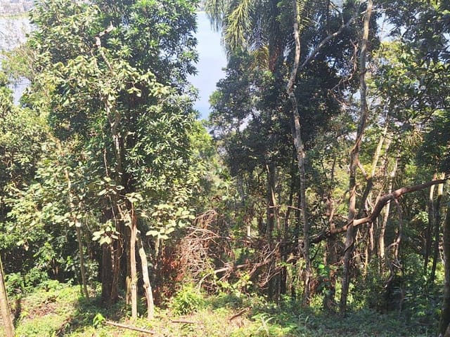 Terreno com 487m², à venda, no bairro Riviera Paulista em São Paulo