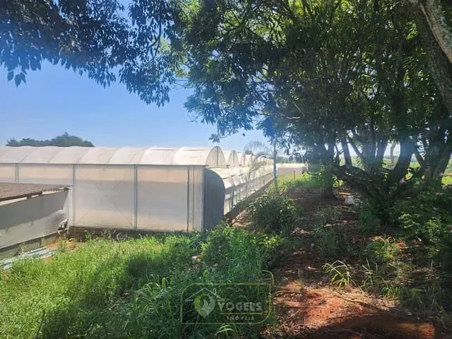 Terreno com 70000m², à venda, no bairro Palmeirinha em Holambra