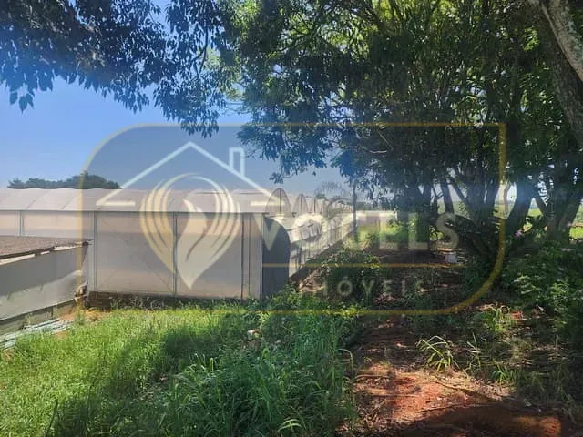 Terreno com 70000m², à venda, no bairro Palmeirinha em Holambra