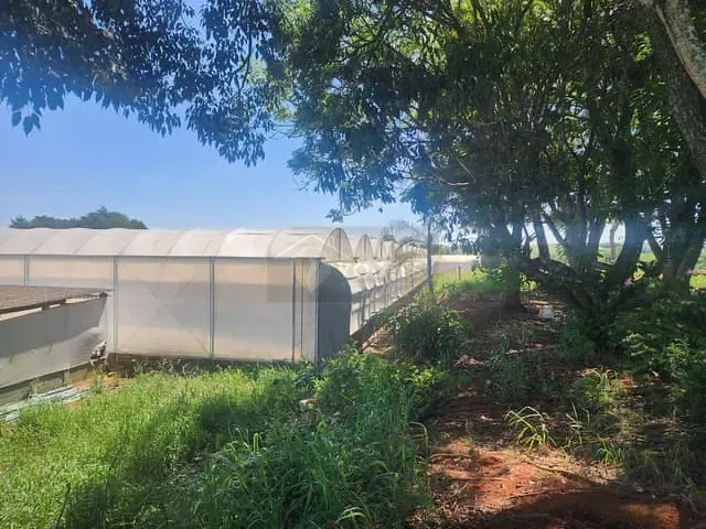 Terreno com 70000m², à venda, no bairro Palmeirinha em Holambra