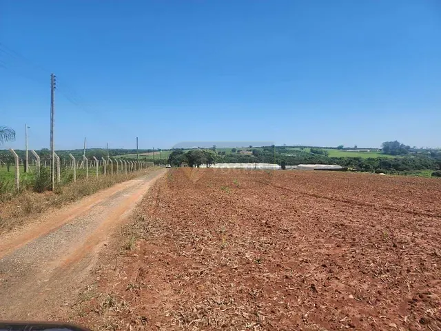 Terreno com 70000m², à venda, no bairro Palmeirinha em Holambra