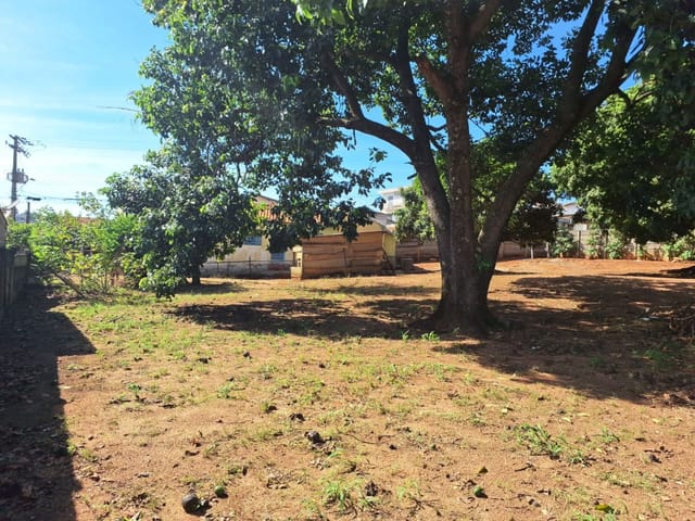 Terreno com 850m², à venda, no bairro Vila Fleming em São João da Boa Vista