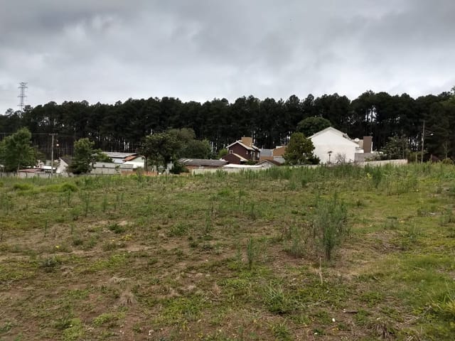 Foto do Terreno - EXCELENTES LOTES DE TERRENOS 15X44 NO BAIRRO CANGUIRI EM COLOMBO POR R$340.000,00 | Azos imóveis