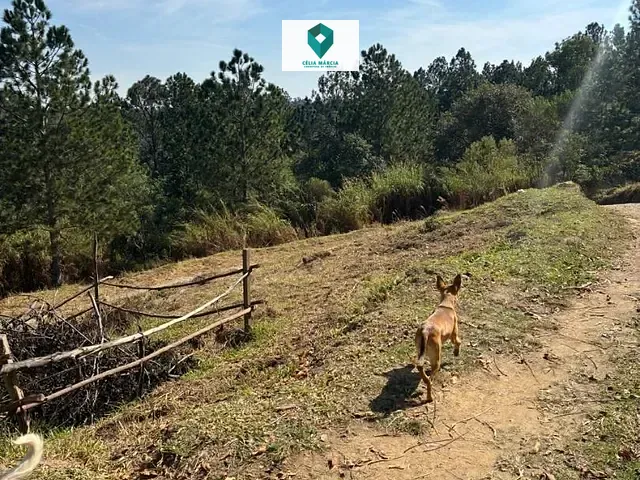 Terreno com 22856m², à venda, no bairro Jundiaí Mirim em Jundiaí