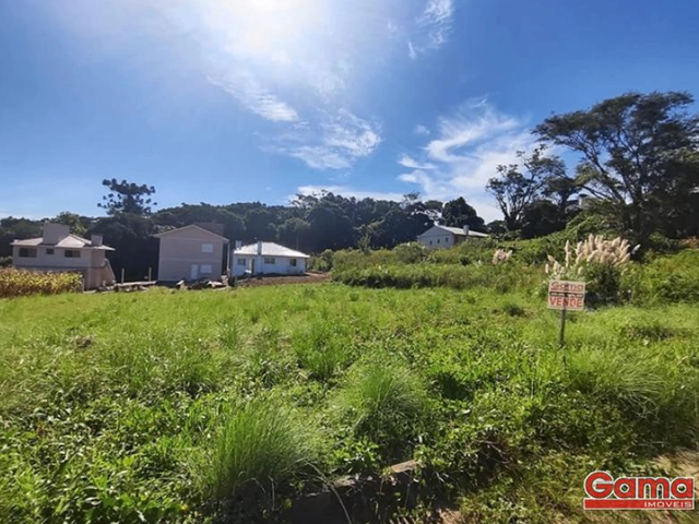 Terreno com 360m², à venda, no bairro Loteamento  Carnevalli em Nova Prata