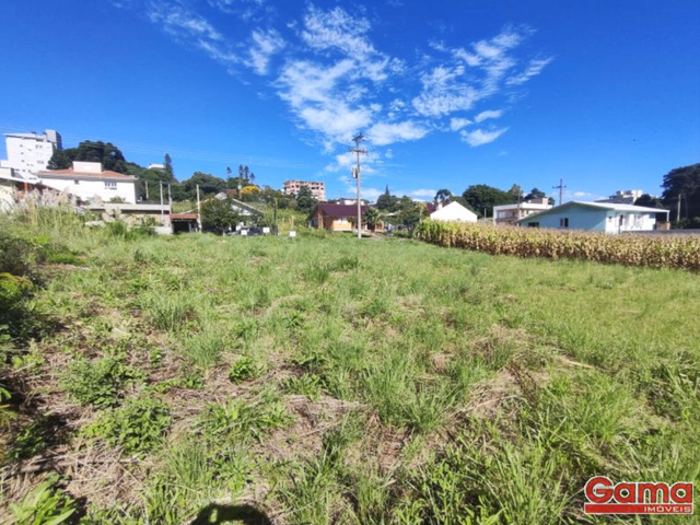 Terreno com 360m², à venda, no bairro Loteamento  Carnevalli em Nova Prata