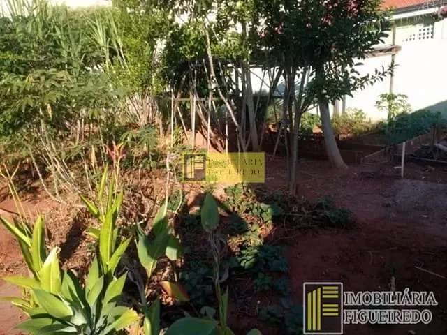 Terreno com 70m², para alugar, no bairro Vila Ercília em São José do Rio Preto