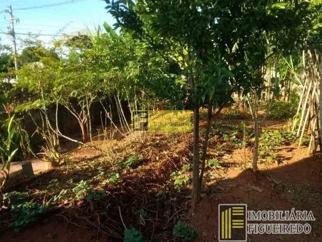 Terreno com 70m², para alugar, no bairro Vila Ercília em São José do Rio Preto