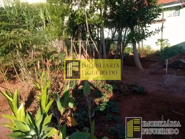 Terreno com 70m², para alugar, no bairro Vila Ercília em São José do Rio Preto