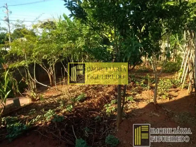 Terreno com 70m², para alugar, no bairro Vila Ercília em São José do Rio Preto