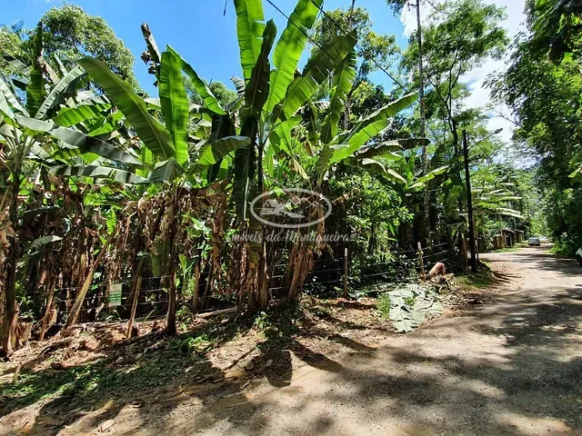 Terreno com 780m², à venda, no bairro Fazendinha (Penedo) em Itatiaia