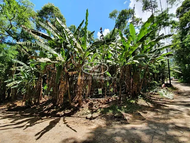 Terreno com 780m², à venda, no bairro Fazendinha (Penedo) em Itatiaia