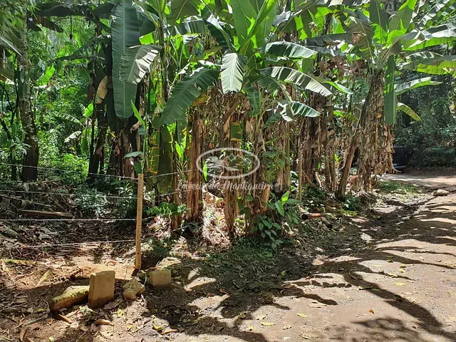 Terreno com 780m², à venda, no bairro Fazendinha (Penedo) em Itatiaia