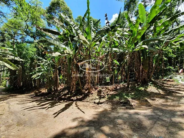 Terreno com 780m², à venda, no bairro Fazendinha (Penedo) em Itatiaia